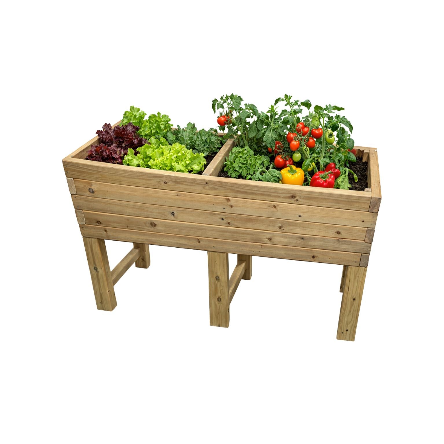 Raised vegetable trough
