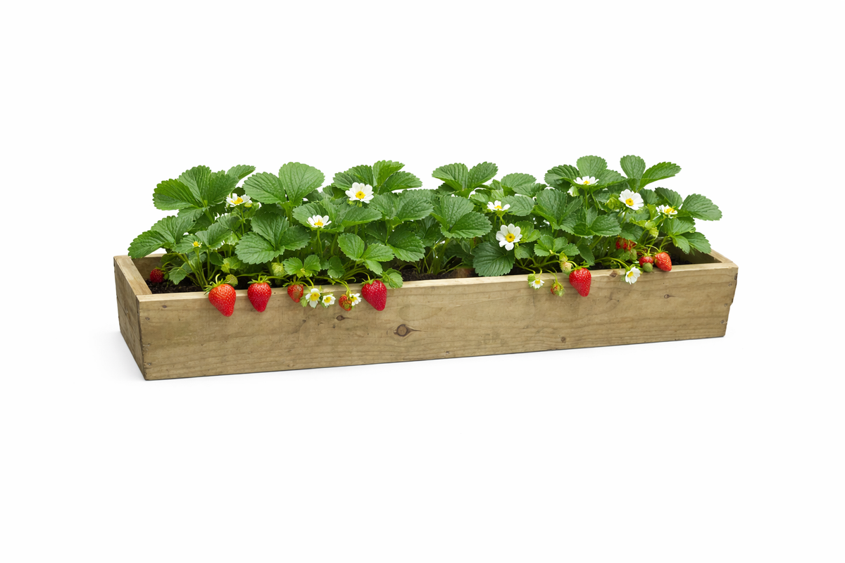 wooden herb trough planter